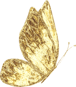 Golden Butterfly Illustration